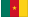 Flag of camerun