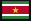 Flag of surinam