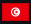 Flag of tunez